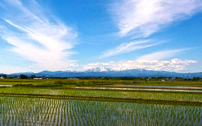 About AIZU Agriculture, Food, Sake